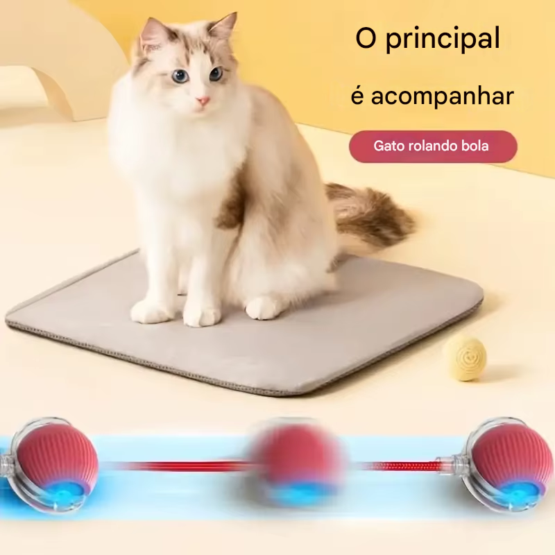 Bola Inteligente para Cães e Gatos Recarregável USB-C.