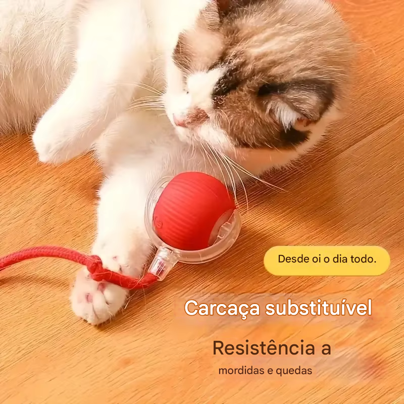 Bola Inteligente para Cães e Gatos Recarregável USB-C.