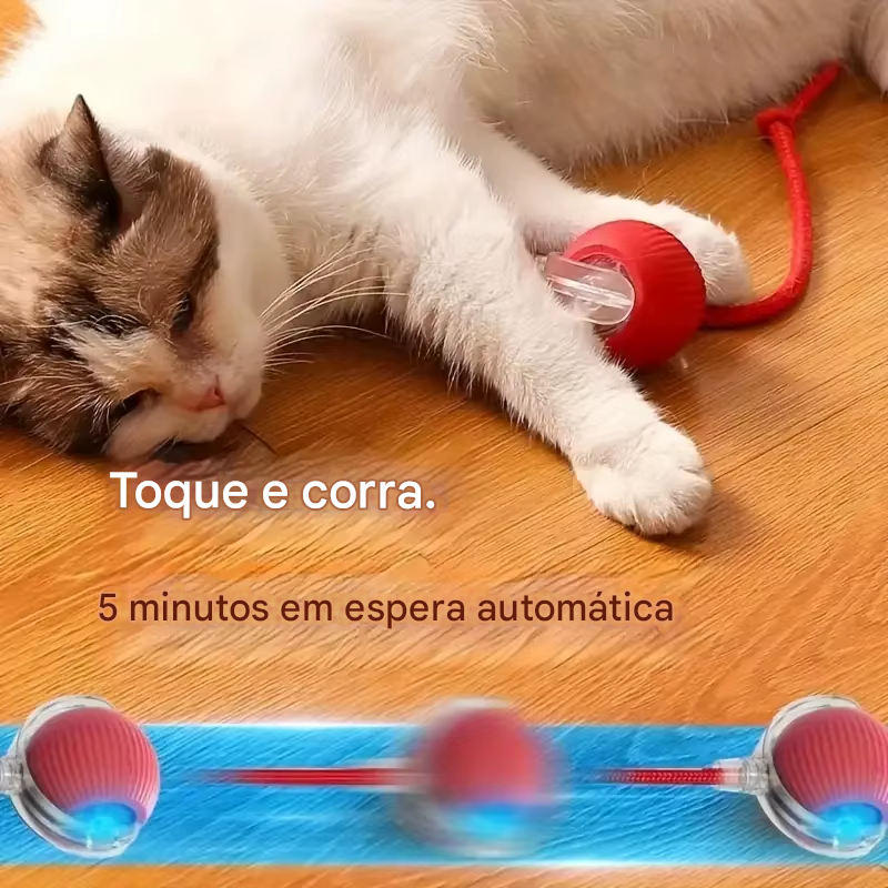 Bola Inteligente para Cães e Gatos Recarregável USB-C.