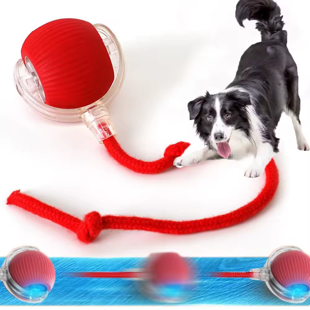 Bola Inteligente para Cães e Gatos Recarregável USB-C.