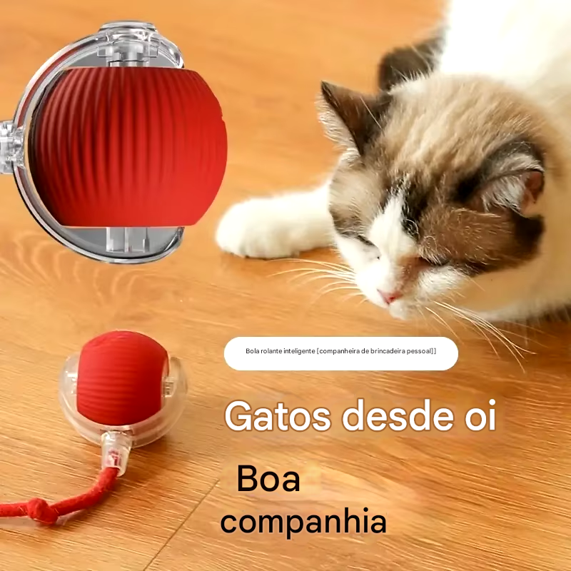 Bola Inteligente para Cães e Gatos Recarregável USB-C.