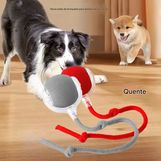 Bola Inteligente para Cães e Gatos Recarregável USB-C.